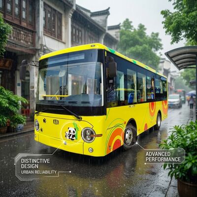 6Autobus elettrico a 6 metri Minibus elettrici a due passaggi, trasmissione automatica